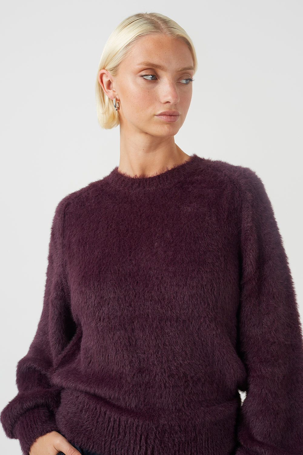 Plum Image 4