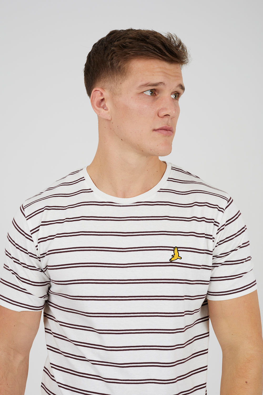 Brave Soul Multi 3 Pack Cotton Crew Neck T-Shirts - Multi Image 4