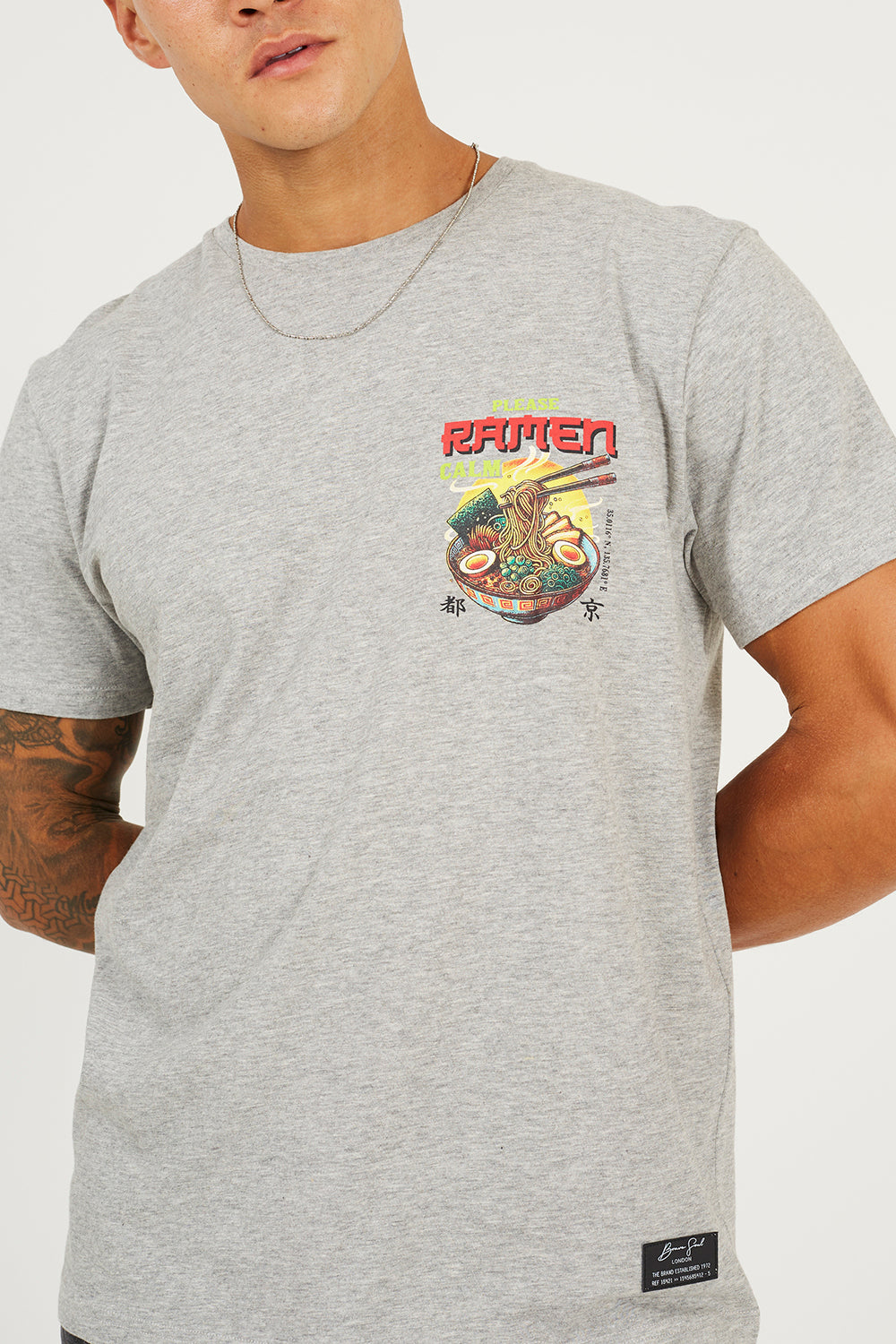 Brave Soul Light Grey Cotton Jersey Graphic T-Shirt - Light Grey Image 4