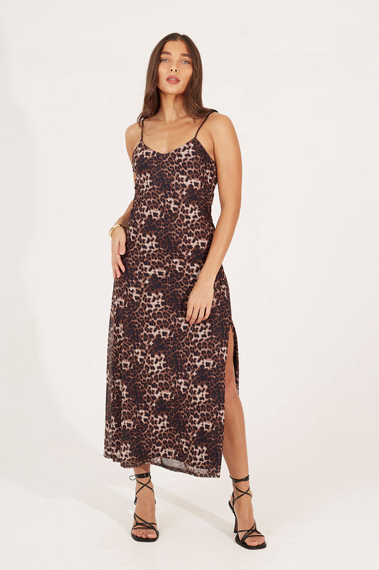  Brown  Image 1