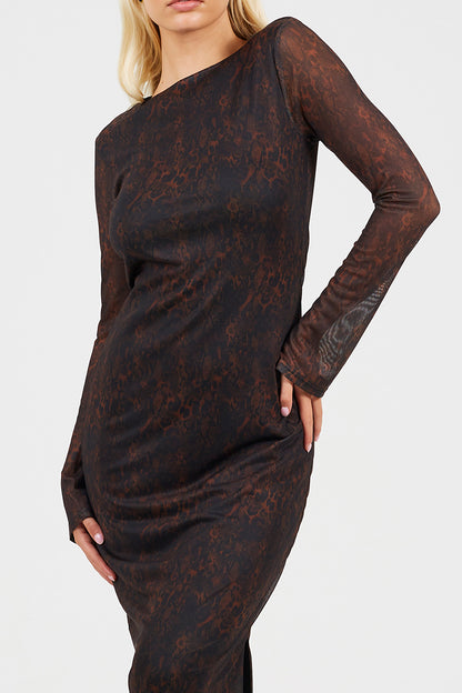  Brown  Image 4
