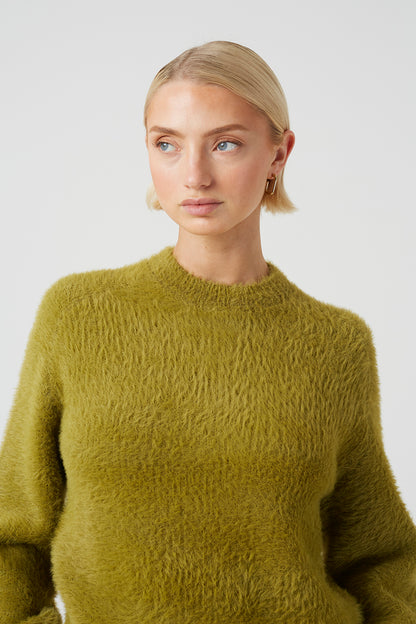  Olive  Image 4