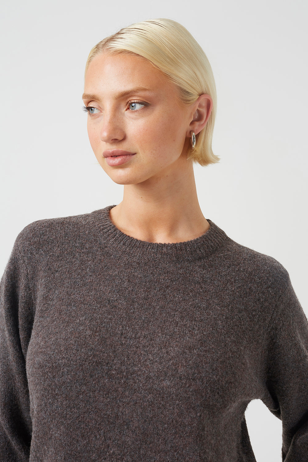  Brown  Image 4