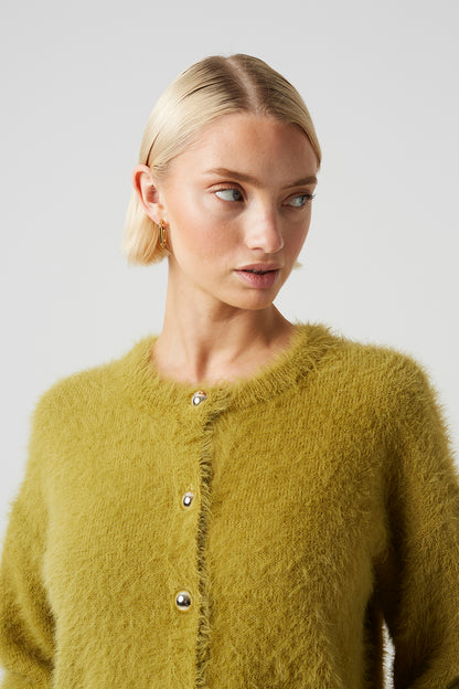  Olive  Image 4