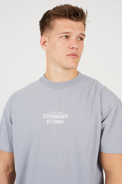 Brave Soul Grey Cotton Relaxed Fit T-Shirt - Grey Image 4