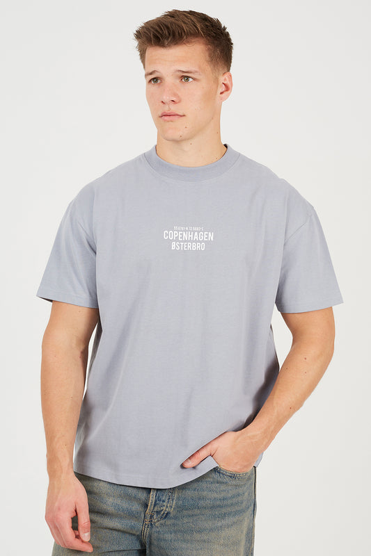 Brave Soul Grey Cotton Relaxed Fit T-Shirt - Grey Image 1
